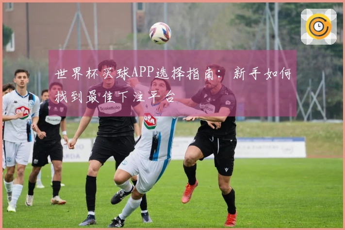 世界杯买球APP选择指南：新手如何找到最佳下注平台