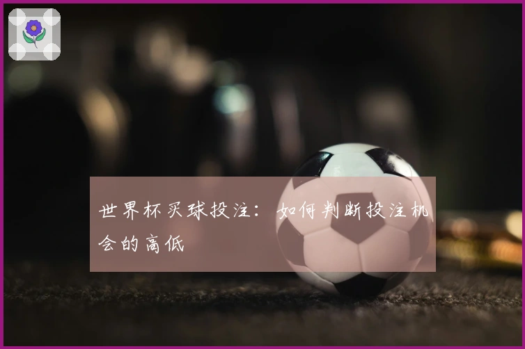 世界杯买球投注：如何判断投注机会的高低