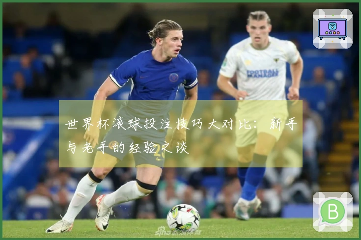 世界杯滚球投注技巧大对比：新手与老手的经验之谈