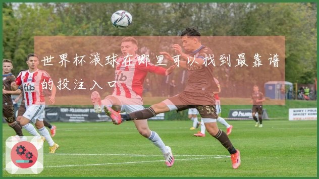 世界杯滚球在哪里可以找到最靠谱的投注入口