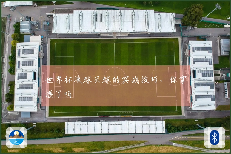 世界杯滚球买球的实战技巧，你掌握了吗