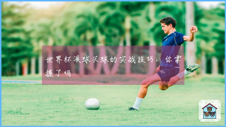 世界杯滚球买球的实战技巧，你掌握了吗