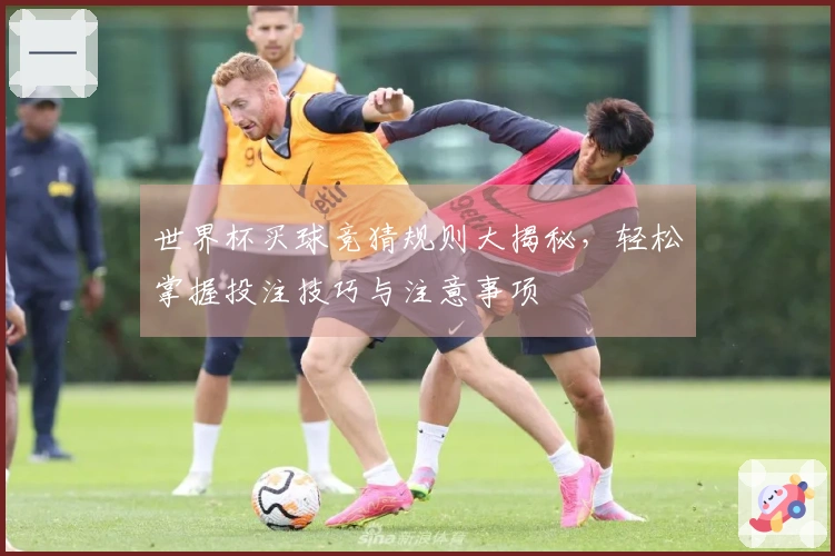 世界杯买球竞猜规则大揭秘，轻松掌握投注技巧与注意事项